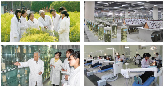 ɽ�|���������W(xu��)УУ�@�h(hu��n)��