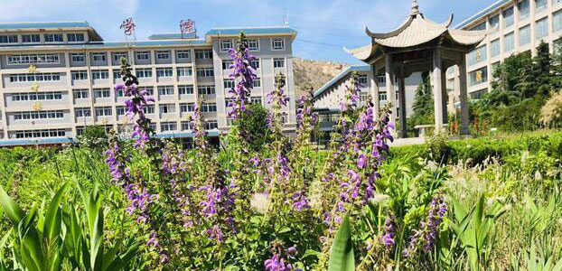 ɽ�|���������W(xu��)У��ˎ����