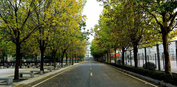 �ʝɻ����߼������W(xu��)УУ�@�h(hu��n)��