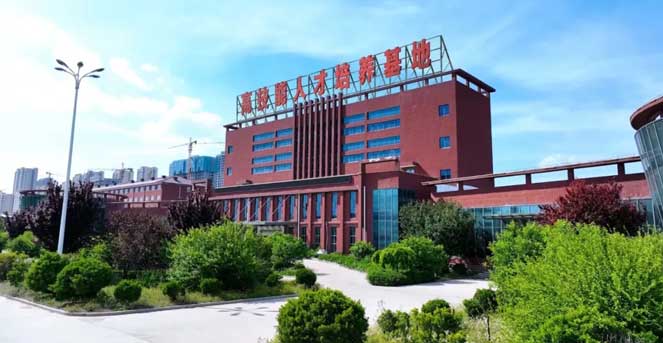 �߼����˲Ż���