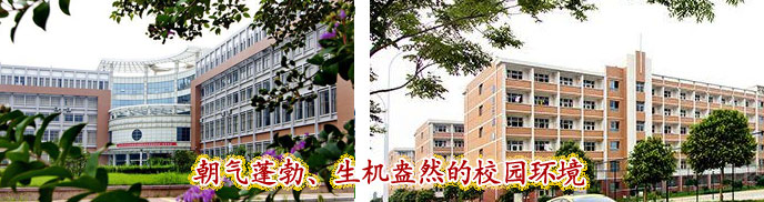 ɽ�|���������W(xu��)Ժ