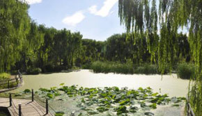 ��(y��u)�������ĭh(hu��n)��