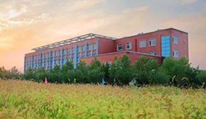 ���I(y��)�����W(xu��)Ժ��(sh��)�(y��n)��