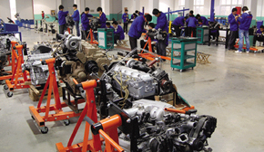 ���ތ�(sh��)Ӗ(x��n)����