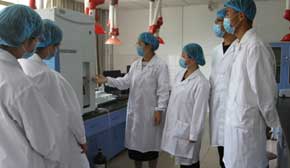 �̌W�����