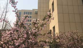 �̌W(xu��)��