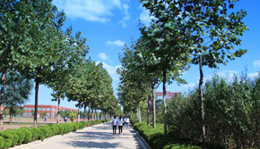 �������o��У�@